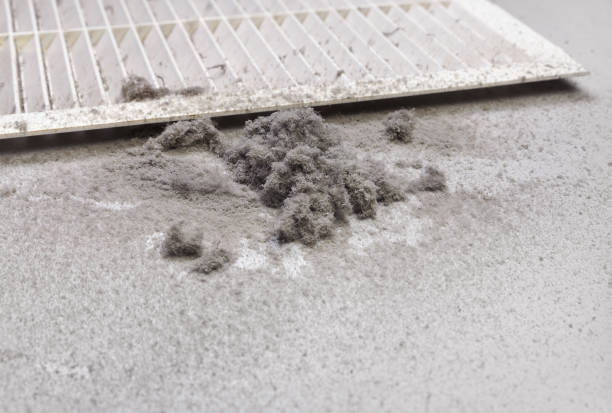 Best Air Duct Cleaning Company Near Me  in De Motte, IN