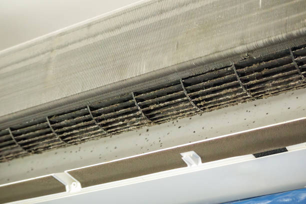 Best Air Duct Cleaning Near Me  in De Motte, IN