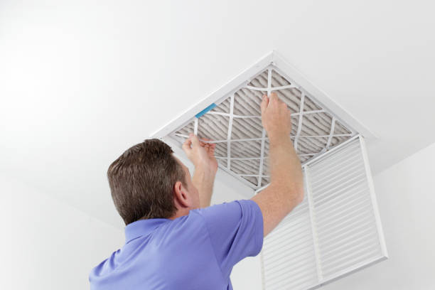 Best Local Air Duct Cleaning Services  in De Motte, IN
